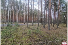 IMG_20250125_113400
