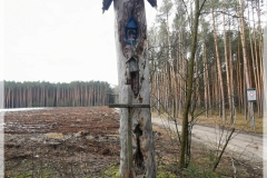 IMG_20250125_113615