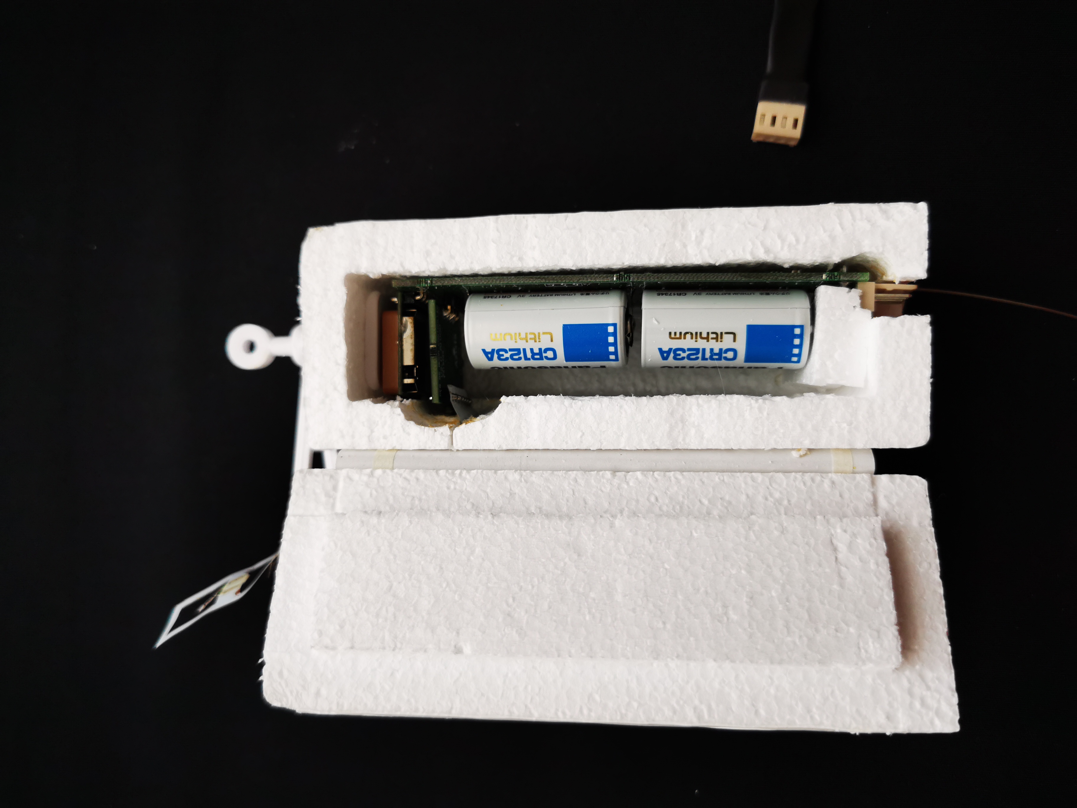 IMG_20221029_120134