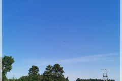 IMG_20230909_091005