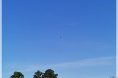 IMG_20230909_091008