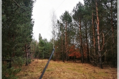 IMG_20240204_153321