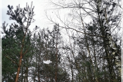 IMG_20240204_153416