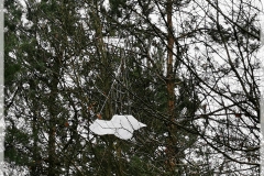 IMG_20240204_153423