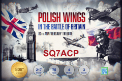 POLISH_WINGS