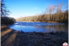 IMG_20240130_103421
