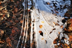 IMG_20240130_105403