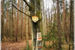 IMG_20240131_105555