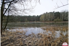 IMG_20240131_110421