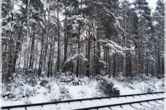 IMG_20221215_152500