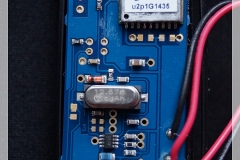 DSC05501