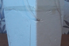 20190724_175324