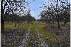 20191207_113314