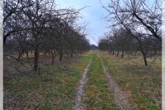 20191207_113327