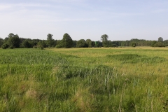 20190613_072939
