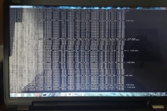 cygwin
