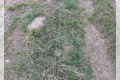 20191105_120542