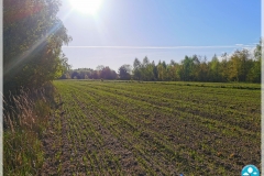 IMG_20240412_081103