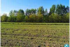 IMG_20240412_081105
