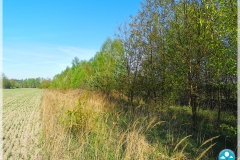 IMG_20240412_081113