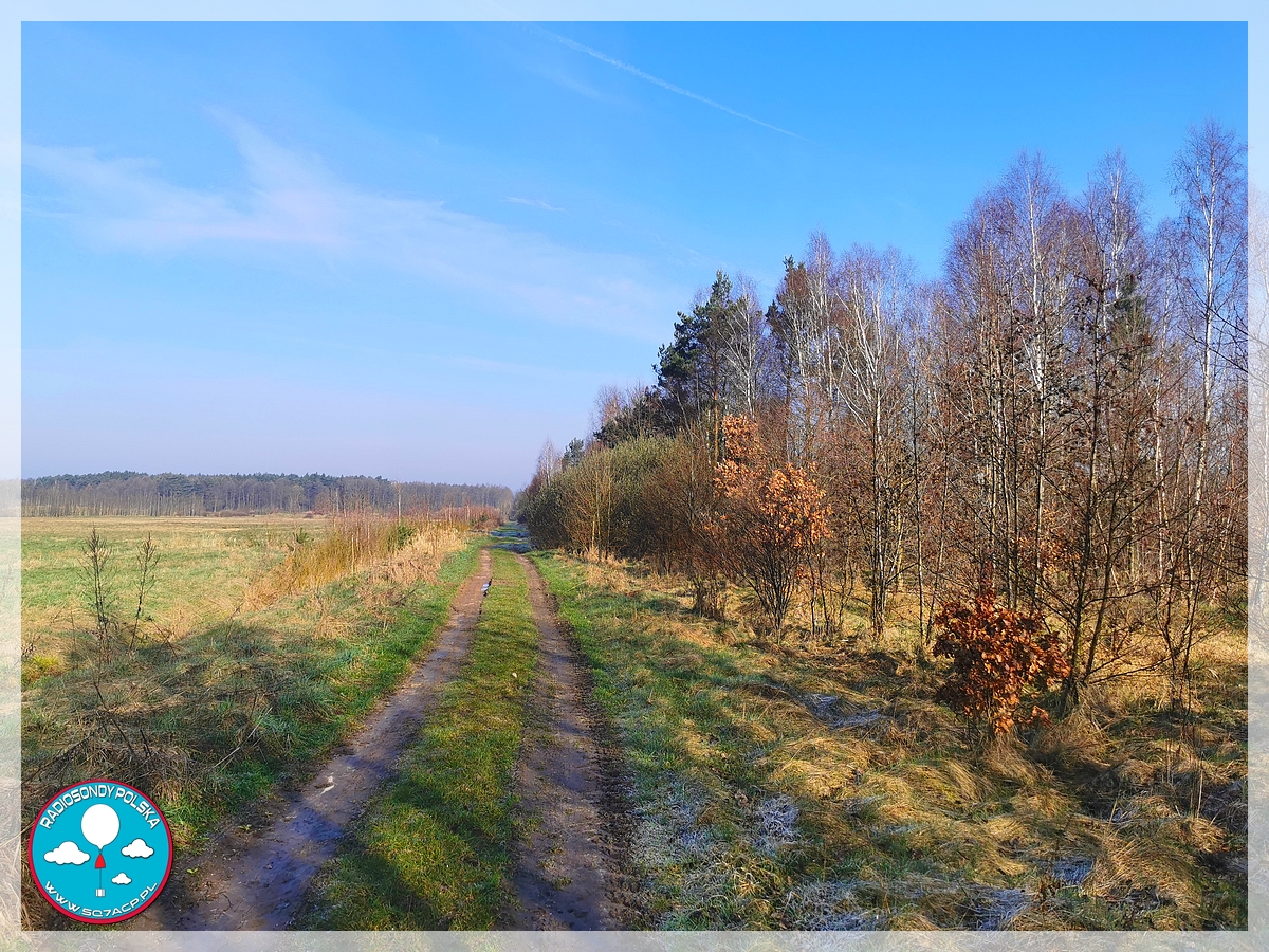 IMG_20240320_082140