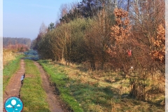IMG_20240320_081605