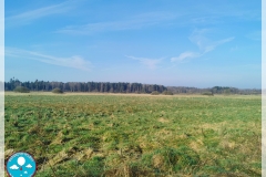 IMG_20240320_082137