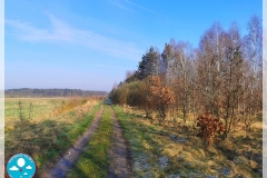 IMG_20240320_082140