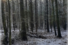 20210108_102219