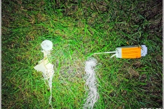 IMG_20211022_040802