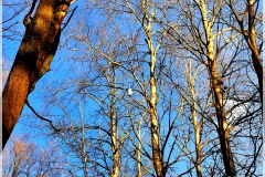IMG_20211202_114900