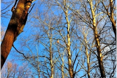 IMG_20211202_114900_1