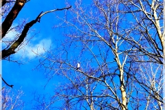 IMG_20211202_114952