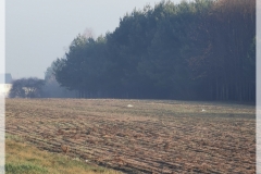 IMG_20250412_065329