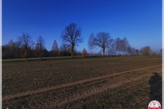 IMG_20250412_065635