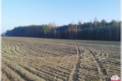 IMG_20250412_065909