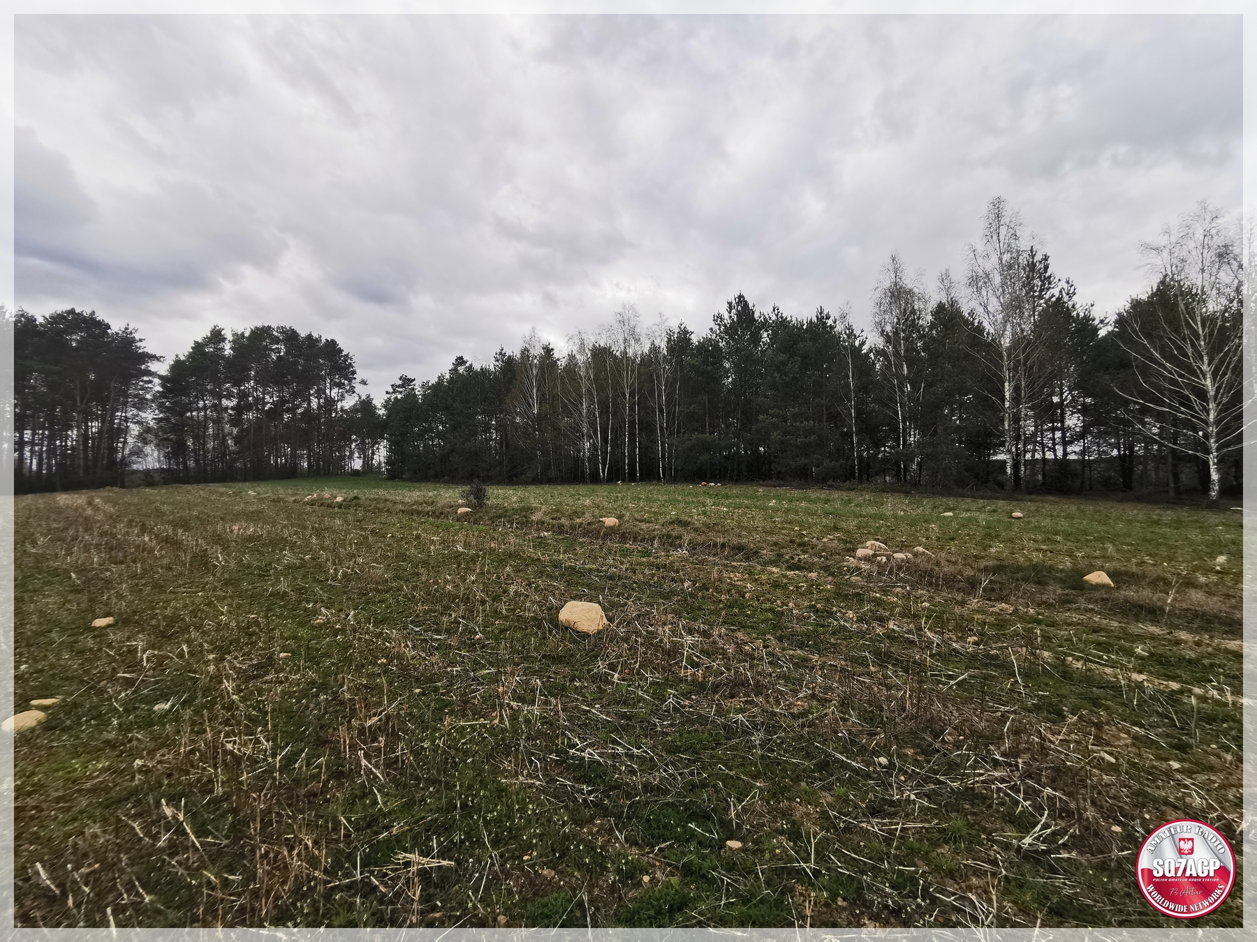 IMG_20250407_163122