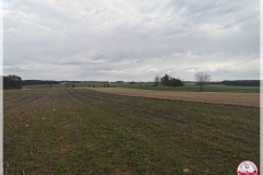 IMG_20250407_162948