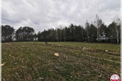 IMG_20250407_163122