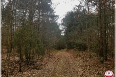 IMG_20250407_164445