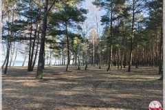 widok-z-miejsca-pracy